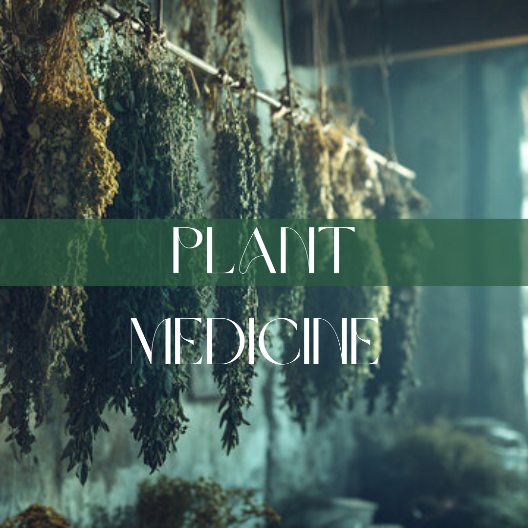 Herbs-Roots & Powder